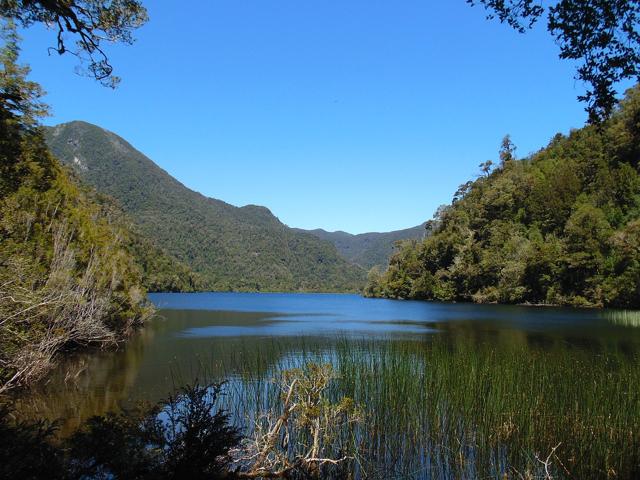 Alerce Andino National Park